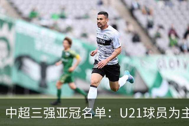 中超三强亚冠名单：U21球员为主题 傅欢郭全博在列
